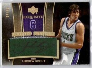 bogut27.JPG