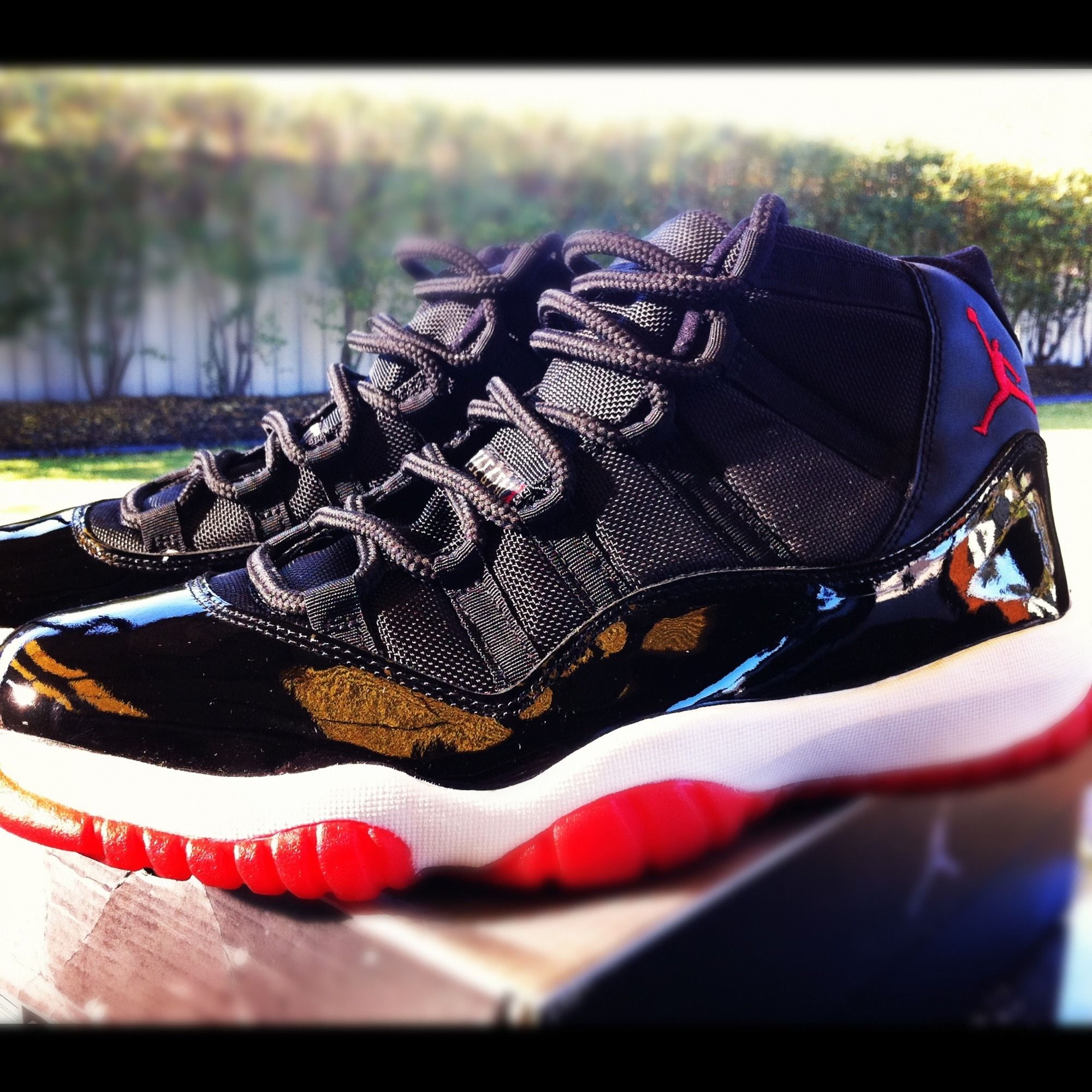 Bred 12's.jpg