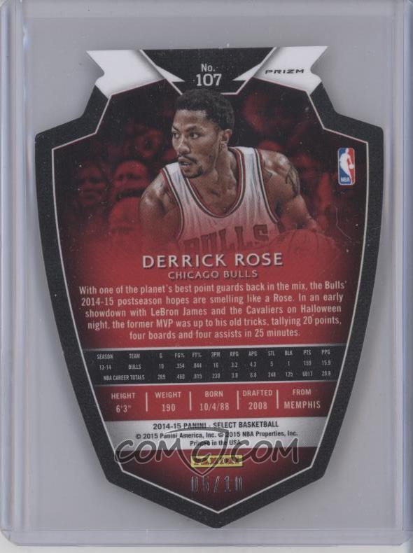 Derrick-Rose (19).jpg