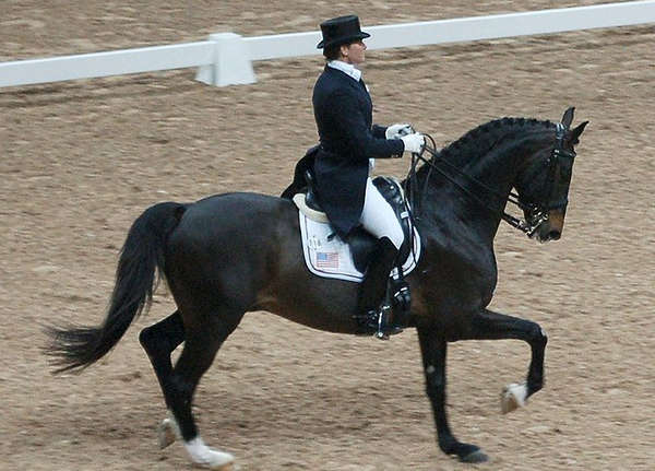 dressage-terms-3.jpg