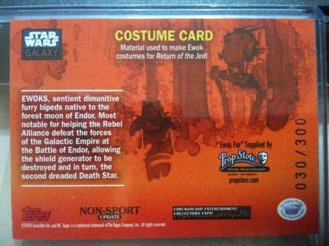 Ewok - Costume card - Back.JPG