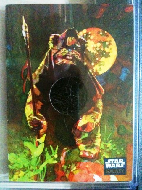 Ewok - Costume card - Front.JPG