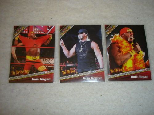 Hulk Hogan Front x 3.jpg