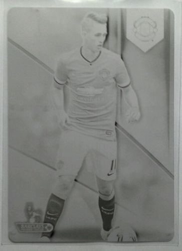 januzaj 1 of 1 plate.JPG