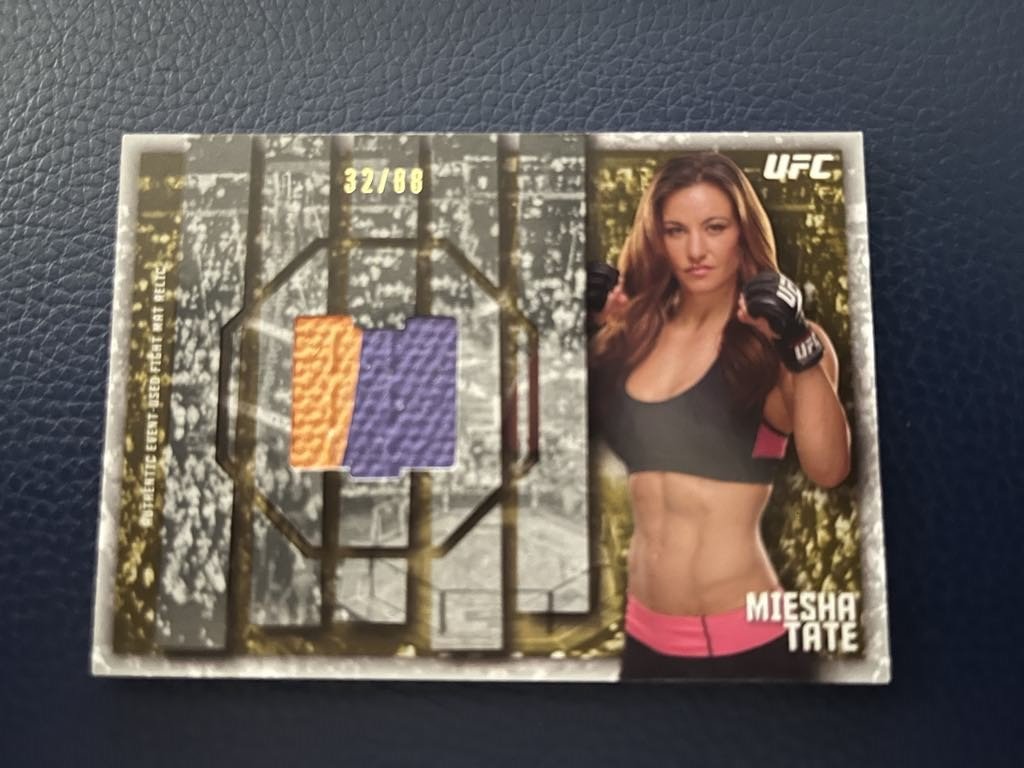 meisha tate 2015 front.jpg