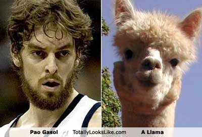 pao-gasol.jpg