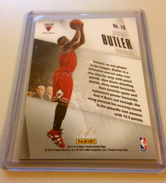 prizmbutler1of1back.JPG