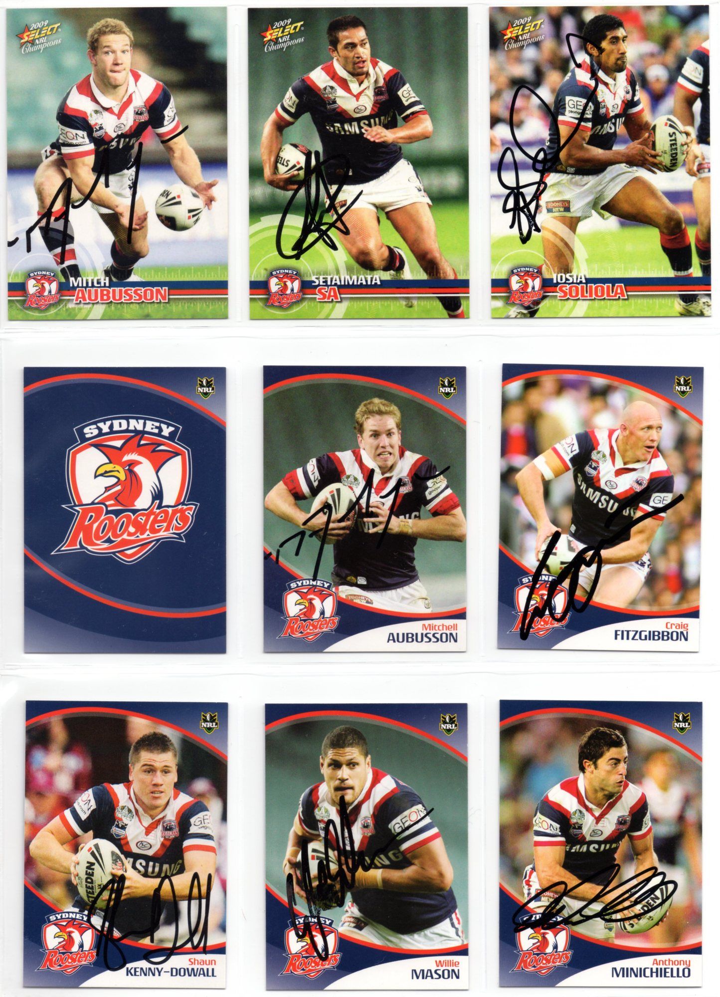 Roosters 22.jpg