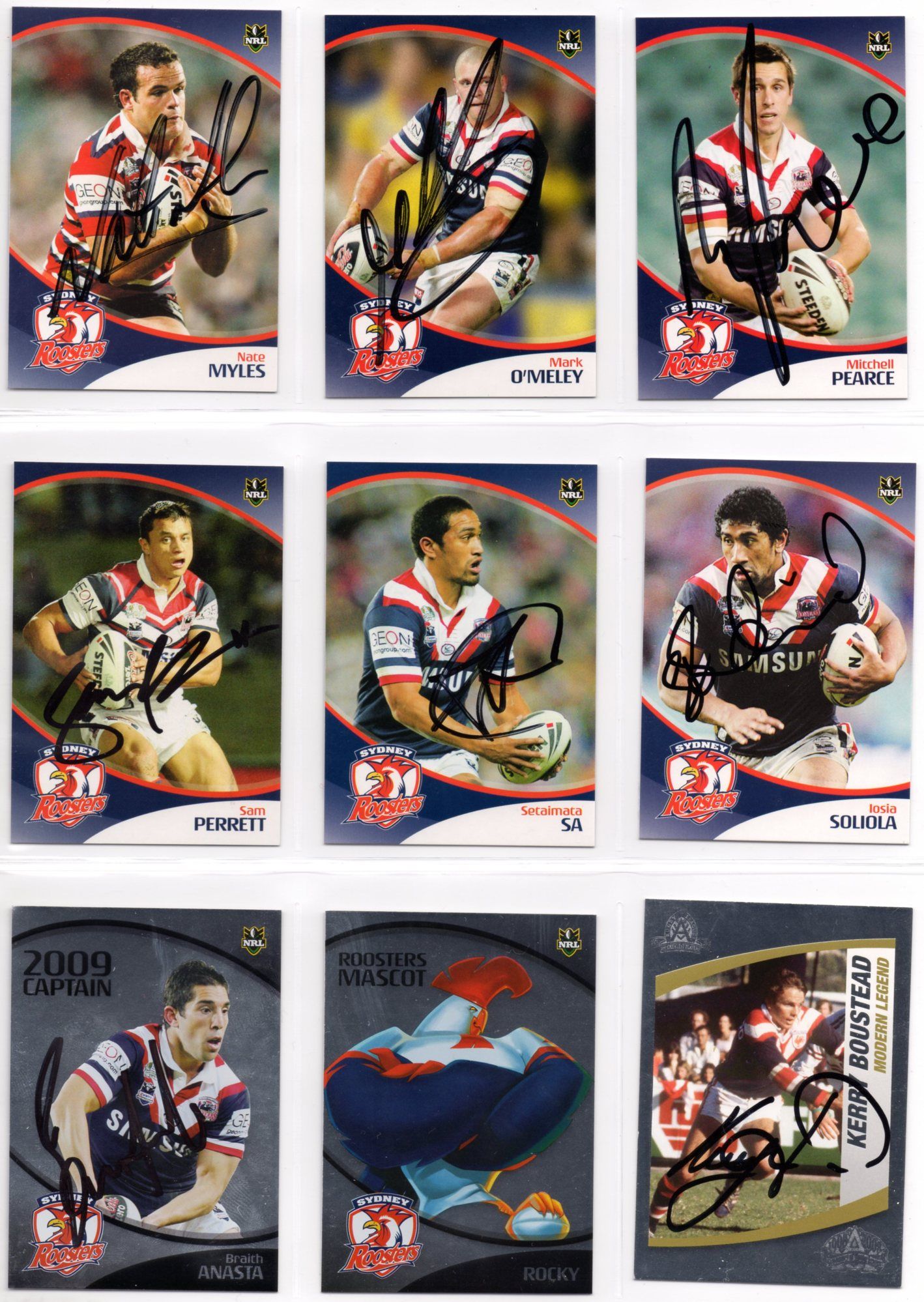 Roosters 23.jpg