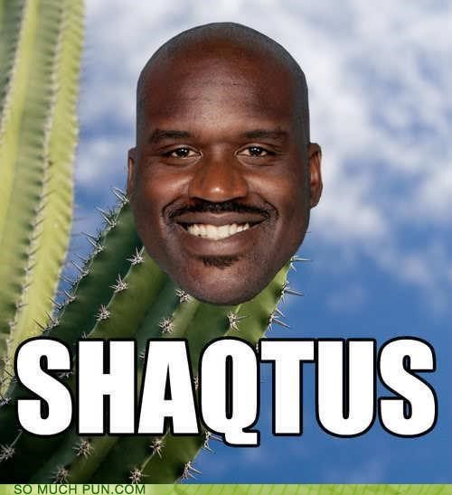 Shaq.jpg