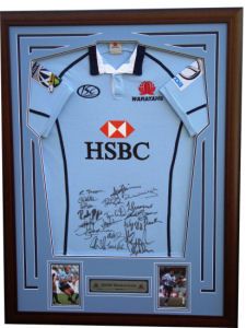 Waratahs_2009_jersey.JPG