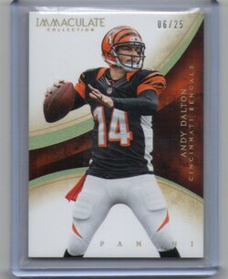 2014 Panini Immaculate, Andy Dalton, 06 of 25.jpg