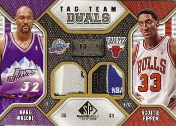 2009-10 SP Game Used Tag Teams Duals Logoman 8of10.jpg