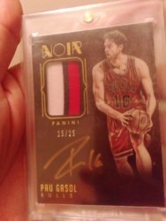 Pau Noir auto patch.jpg