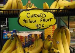 funny-sign-for-bananas-curved-yellow-fruit-40c.jpg