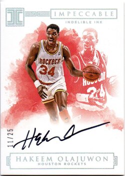 Indelible Ink = Hakeem Olajuwon 11-25.jpg