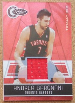 bargnani.JPG