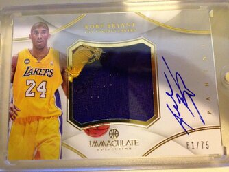 immaculate case break 017.JPG