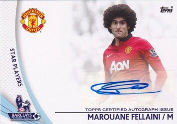 fellaini 2.JPG