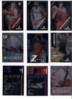 2013-14 Pinnacle inserts P1 (582x800).jpg