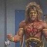 Ultimate warrior