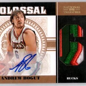 bogut86.JPG