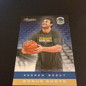 bogut209.JPG