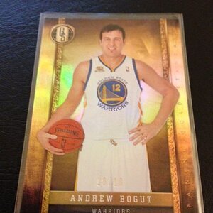 bogut197.JPG