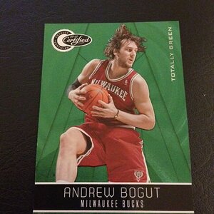 bogut206.JPG