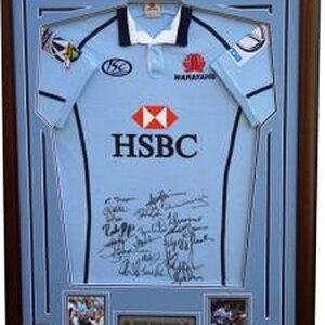 Waratahs_2009_jersey.JPG