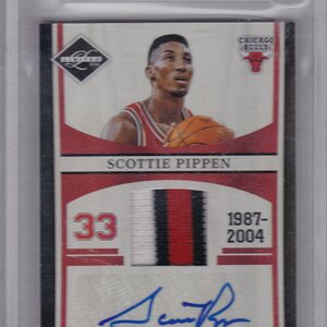 Pippen 06-10.jpg