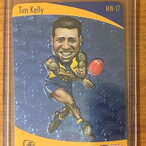 Tim Kelly.jpg