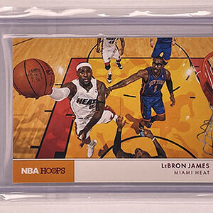 Insert - Action Photos - Hoops - 2012-13 - LeBron James.jpg