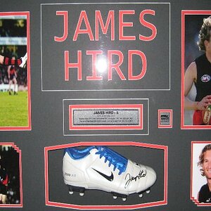 james hird frame.jpg