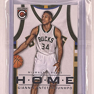 Insert - Home - Complete - 2015-16 - Giannis Antetokounmpo.jpg