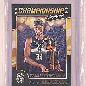 Insert - Championship Moments - Hoops - 2021-22 - Giannis Antetokounmpo.jpg