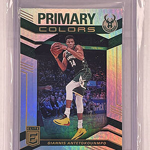 Insert - Primary Colors - Elite - 2019-20 - Giannis Antetokounmpo.jpg