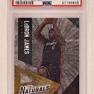 Insert - The Naturals - Pinnacle - 2013-14 - LeBron James.jpg