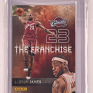 Insert - The Franchise - Panini - 2009-10 - LeBron James.jpg