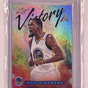 Insert - The Thrill of Victory - Ascension - 2017-18 - Kevin Durant.jpg