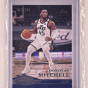 Subset - Plates & Patches - Chronicles - 2020-21 - Donovan Mitchell.jpg