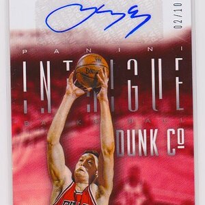 2012-13 INTRIGUE DUNK CO  LUC LONGLEY 2 OF 10.jpeg