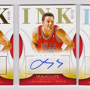 2013-14 IMMACULATE LUC LONGLEY RAINBOW.jpeg