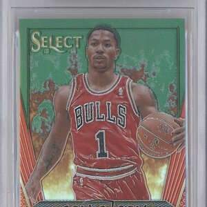 Derrick-Rose (9).jpg