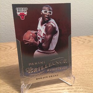 2012-13 Panini Brilliance #213 Horace Grant.jpg