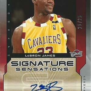 05-06 UD Signature Sensations Lebron James.jpg