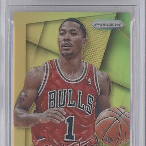 Derrick-Rose (9).jpg