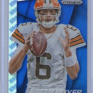 6. Brian Hoyer, 2014 Panini Prizm, Insert, 45 of 50.jpg