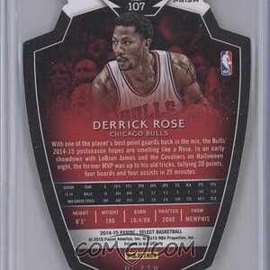 Derrick-Rose (19).jpg