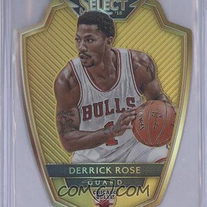 Derrick-Rose (20).jpg